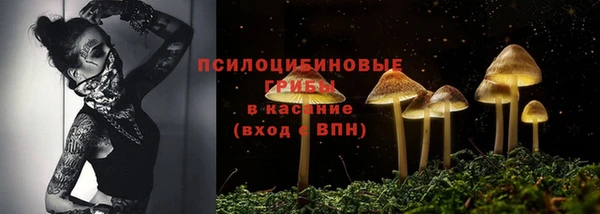 прущие крисы Баксан