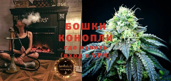 молекула духа Арсеньев